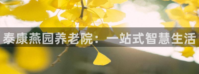 韦德app手机下载
