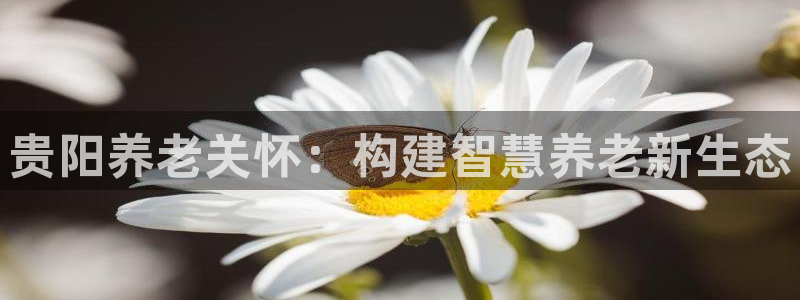 韦德1946国际娱乐