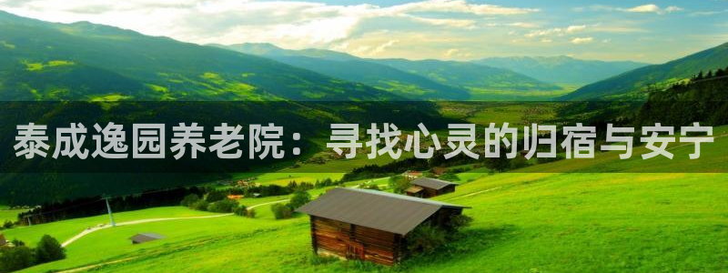 韦德网站是多少