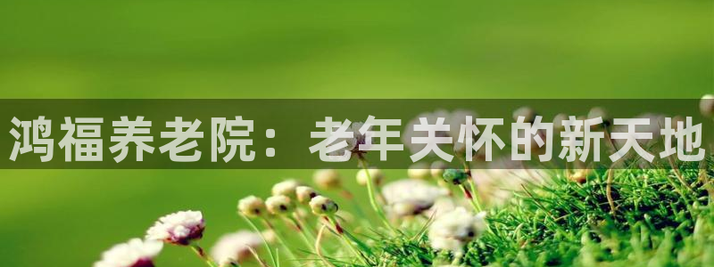 韦德 官网