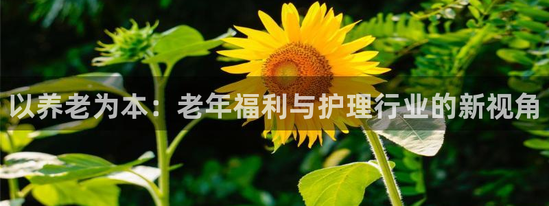韦德1946博客