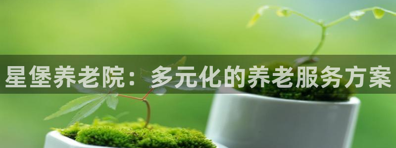 韦德1946备用网站