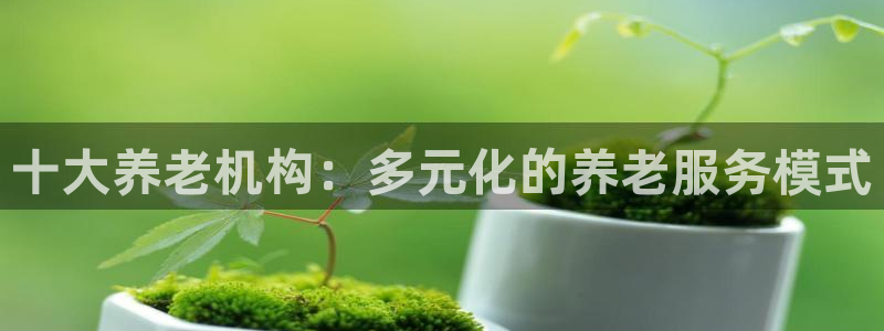韦德网站是多少