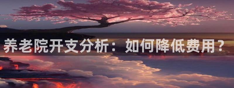 韦德2014