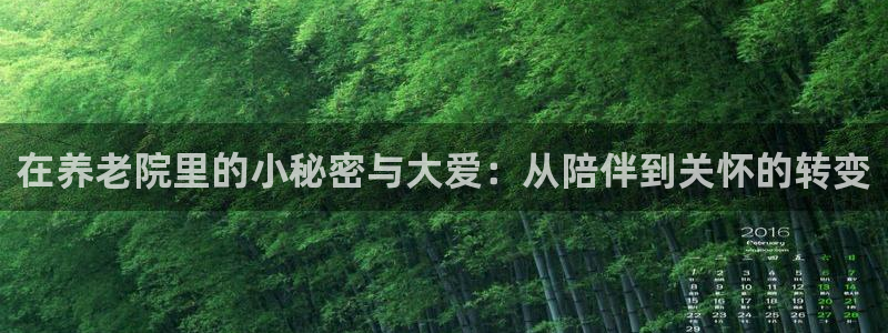 韦德1946博客