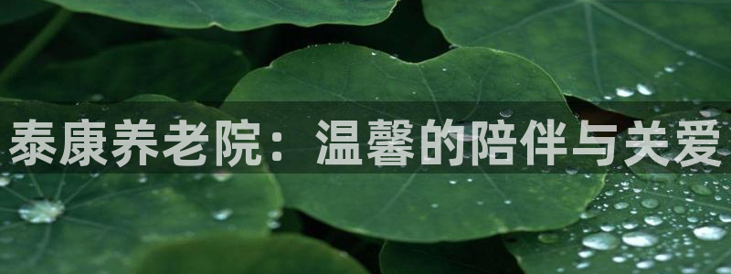韦德1946中文官网