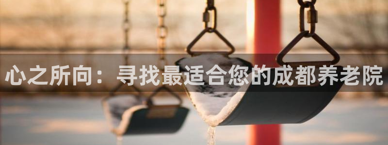 韦德网站是多少