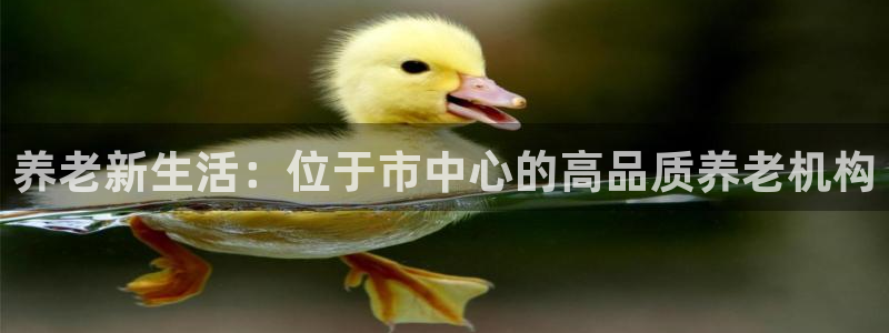 韦德 网址