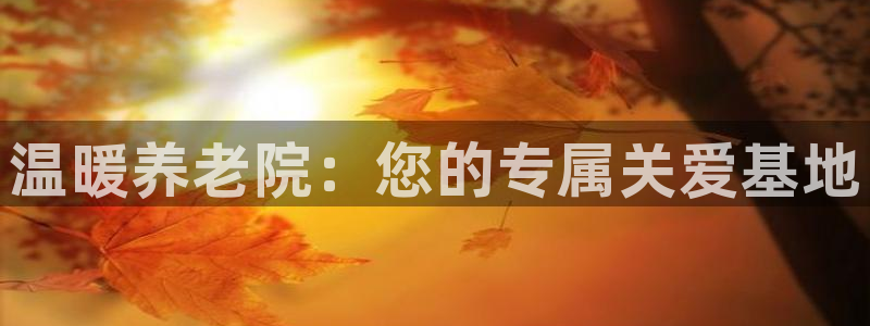 韦德1946体育