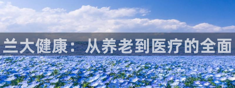 韦德官网注册推荐网站是什么