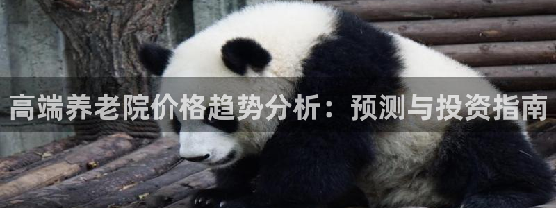 韦德的游戏