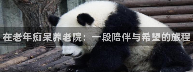韦德事件