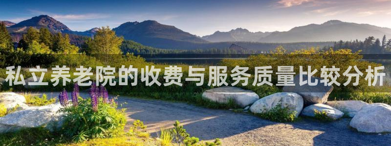 韦德1946备用网站