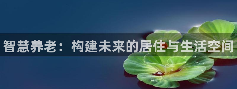 韦德8月22日开启中国行