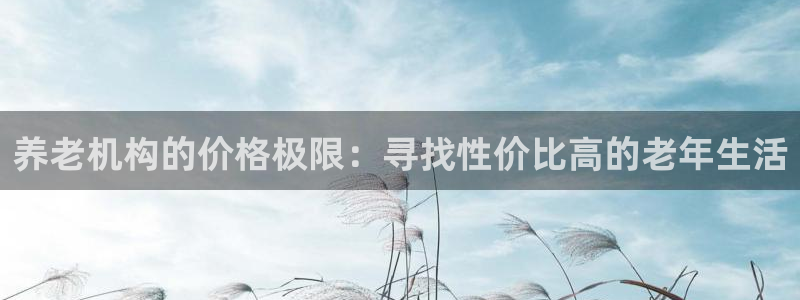 韦德网站是多少