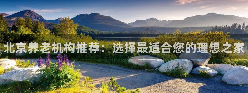 韦德1946官网最新版