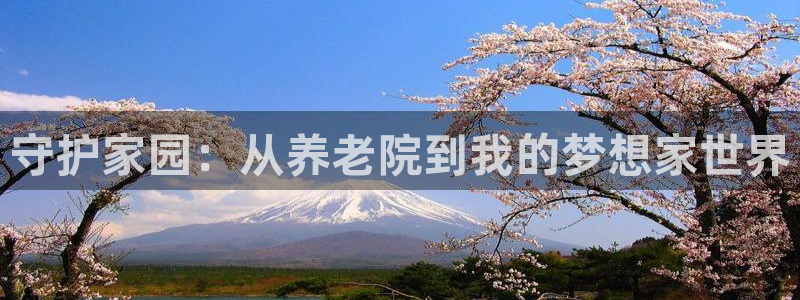 韦德是哪一届