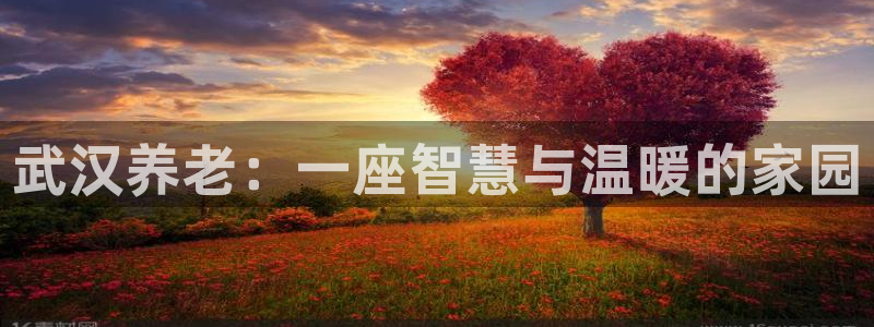 韦德1946体育