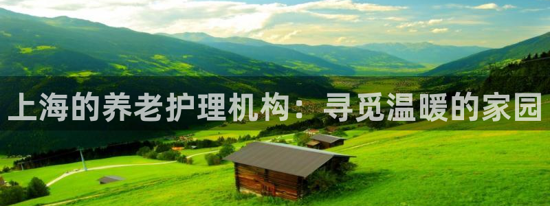 韦德游戏是什么