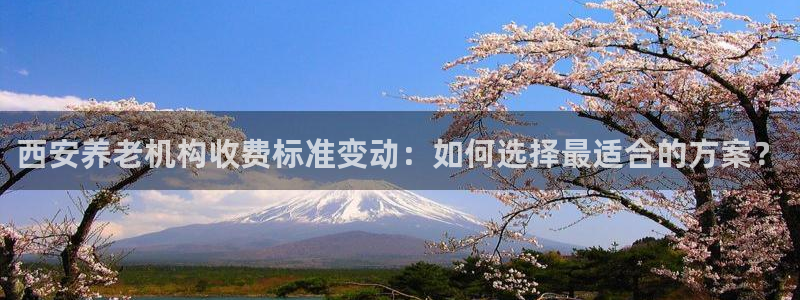 韦德网站官网