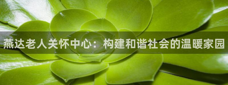 1946韦德找回密码