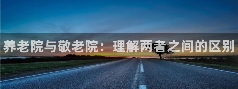 韦德游戏是什么