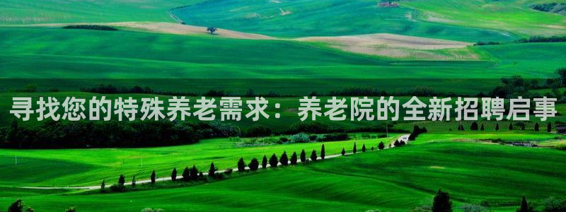 韦德1946源自英国