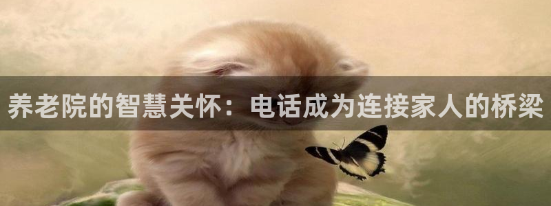 韦德app手机下载