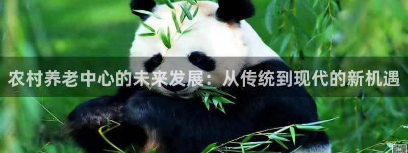 韦德1946始于英国