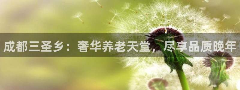 1946韦德找回密码