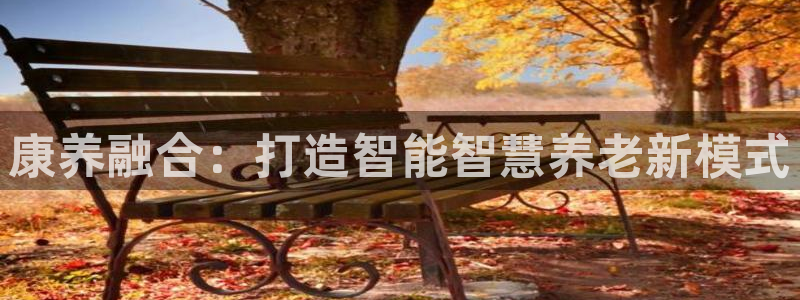 韦德网站官网