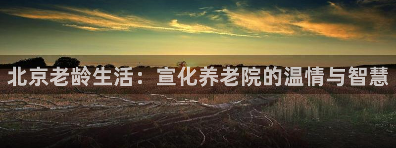 韦德官网注册推荐网站是什么