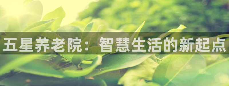 韦德是哪个