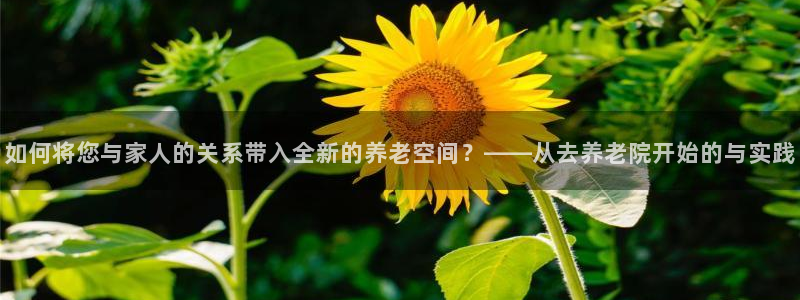 韦德惨案