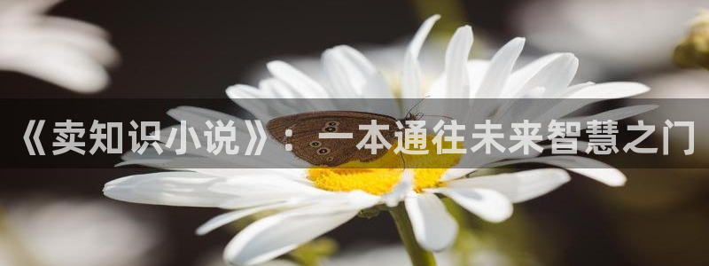17k小说网官网下载安装