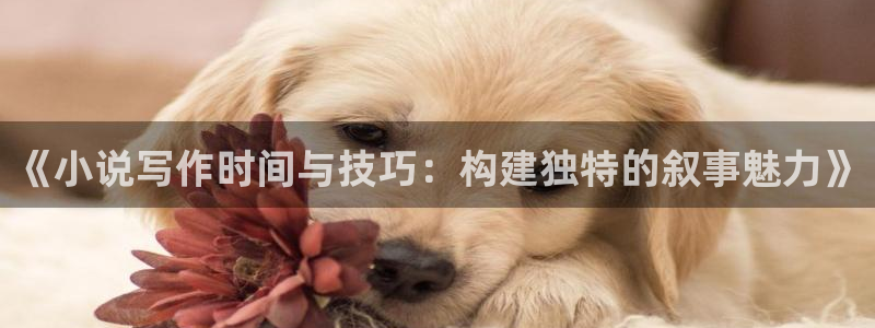 17k小说中文网