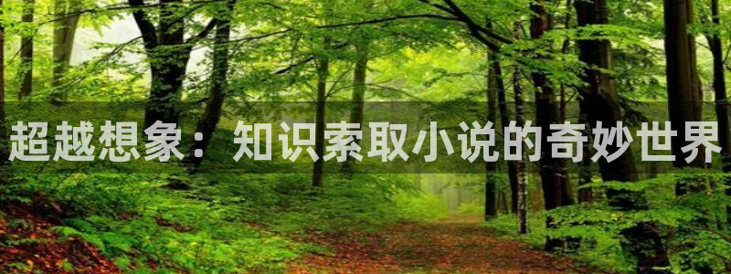 17k小说第九特区